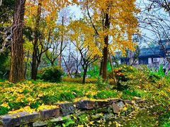 -成都武侯祠博物馆