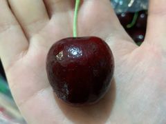 -南京众彩农副产品配送有限公司