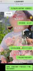 -七岛美学