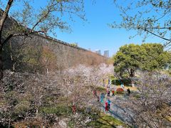 -南京城墙景区