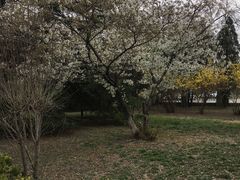 -常德桃花源景区