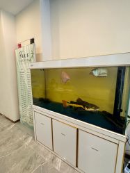 -FUMEIHUI·科技美肤·美体SPA