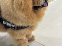 -佳雯宠物医院·皮肤科·内外科(春晓路分院)