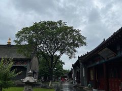 -护国法轮寺
