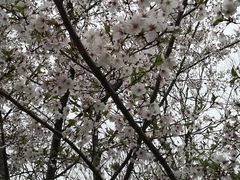 -尚贤河湿地