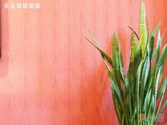 包房一角-卫鼎轩·曹公馆(鼓楼店)