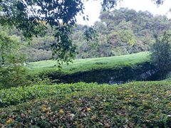 -大屏嶂森林公园