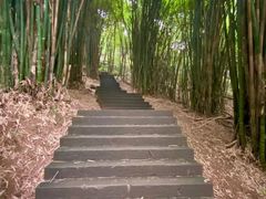 -凤栖山