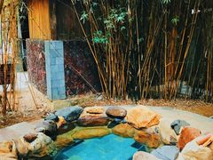 -森波拉火山温泉