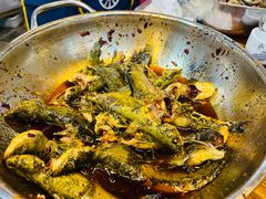 -金海椒罐罐鲢鱼(东方桂苑店)