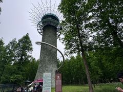 -黄海国家森林公园