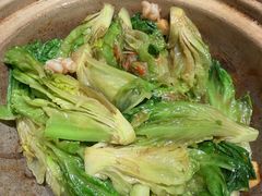 虾酱啫啫生菜-新雅(丰盛里店)