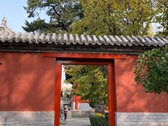 -北京艺术博物馆(万寿寺)