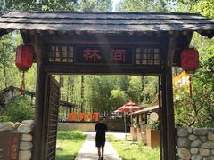 -林间山庄
