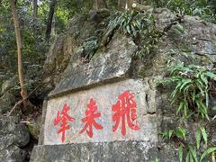-灵隐飞来峰景区