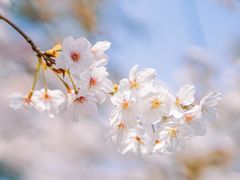 -西湖风景区-江洋畈生态公园