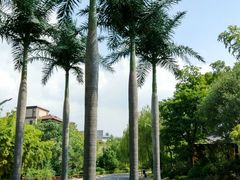 -西安国际创新人才交流中心•药浴温泉