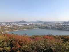 -羊山湖公园