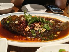 -树厨贵州菜(大十字店)