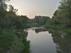 -昆山城市生态森林公园