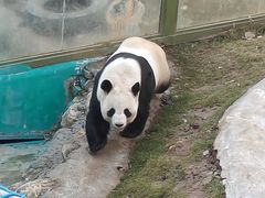 -栾川竹海野生动物园