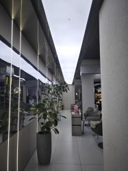 -型色沙龙