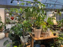 -自由生长植物工作室(深港花卉中心店)