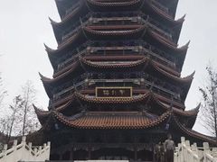 -铁山坪森林公园