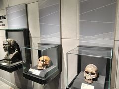 -北京周口店北京人遗址博物馆