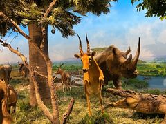 -国家自然博物馆