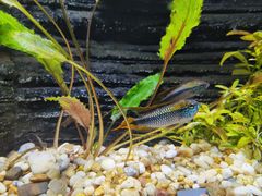 -上海海洋水族馆