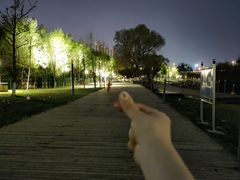 -长白岛森林公园