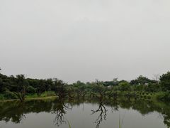 -鹤之洲湿地公园