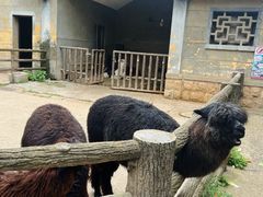 -昆明动物园