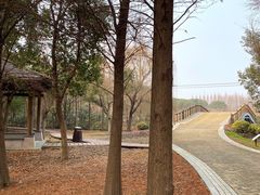 -同里国家湿地公园