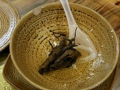 -纳兰傣雀傣味餐厅
