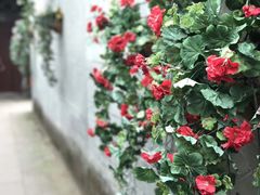 -安仁古镇