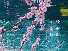 -颐和园