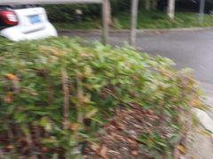 -张江药谷大厦-停车场