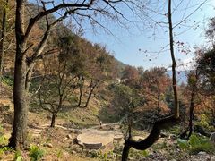 -广州市石门国家森林公园