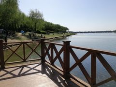 -丁香湖公园