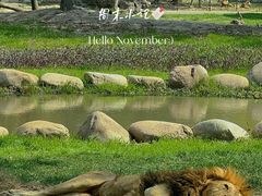 -上海野生动物园