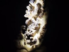 -深圳珠宝博物馆