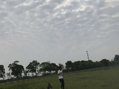 -漕湖湿地公园