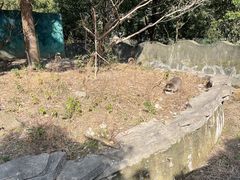 -宁波野生动物园