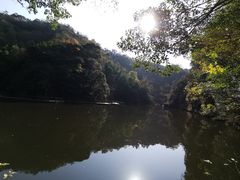 -祁门牯牛降观音堂风景区