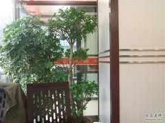 -老杨太太烧烤(文化广场店)