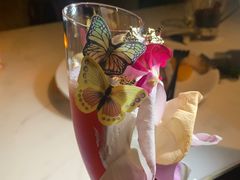 -STARRY CAFE & LOUNGE BAR(高新店)