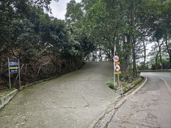 -东莞市大岭山森林公园