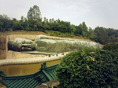 -三水森林公园